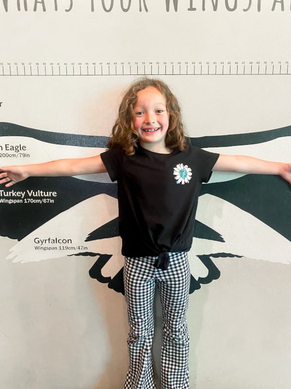 A girl standing in front of different animal wingspans