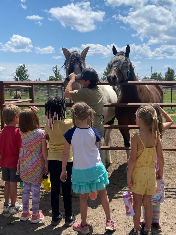 A group of kids feeding horses behind a fence