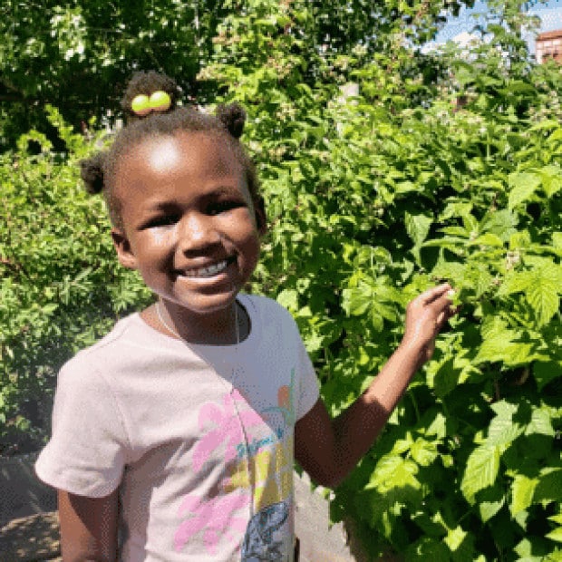 A young girl standing in front of a berry bush