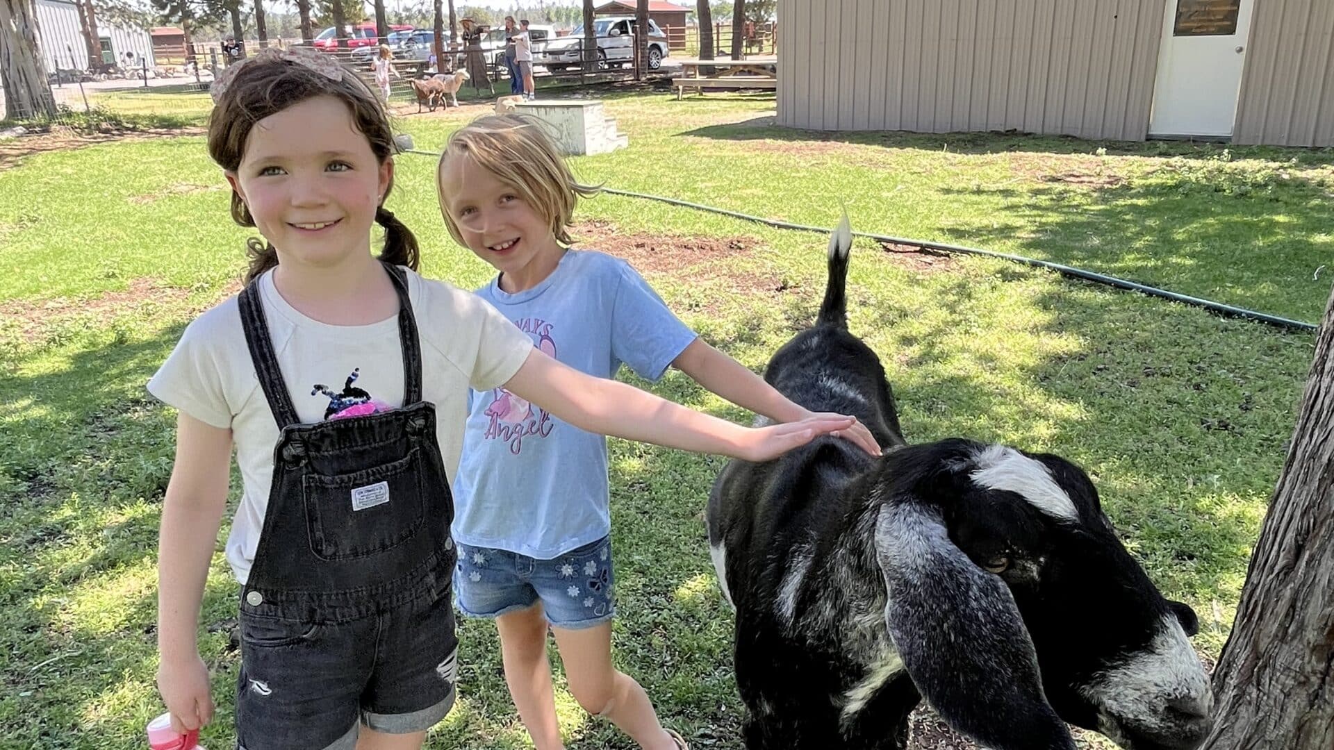 Two girls on a farm petting a goat