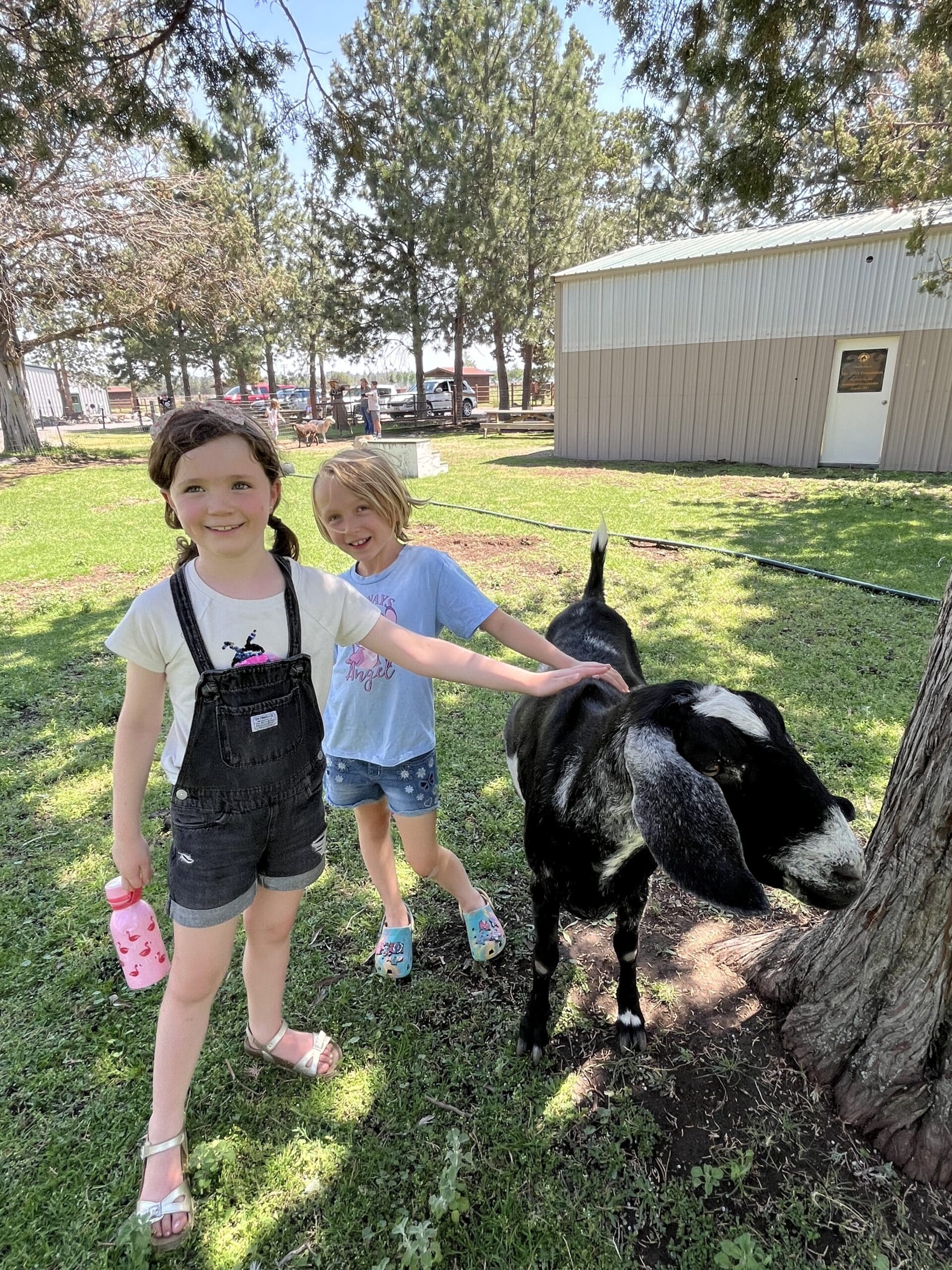 Two girls on a farm petting a goat