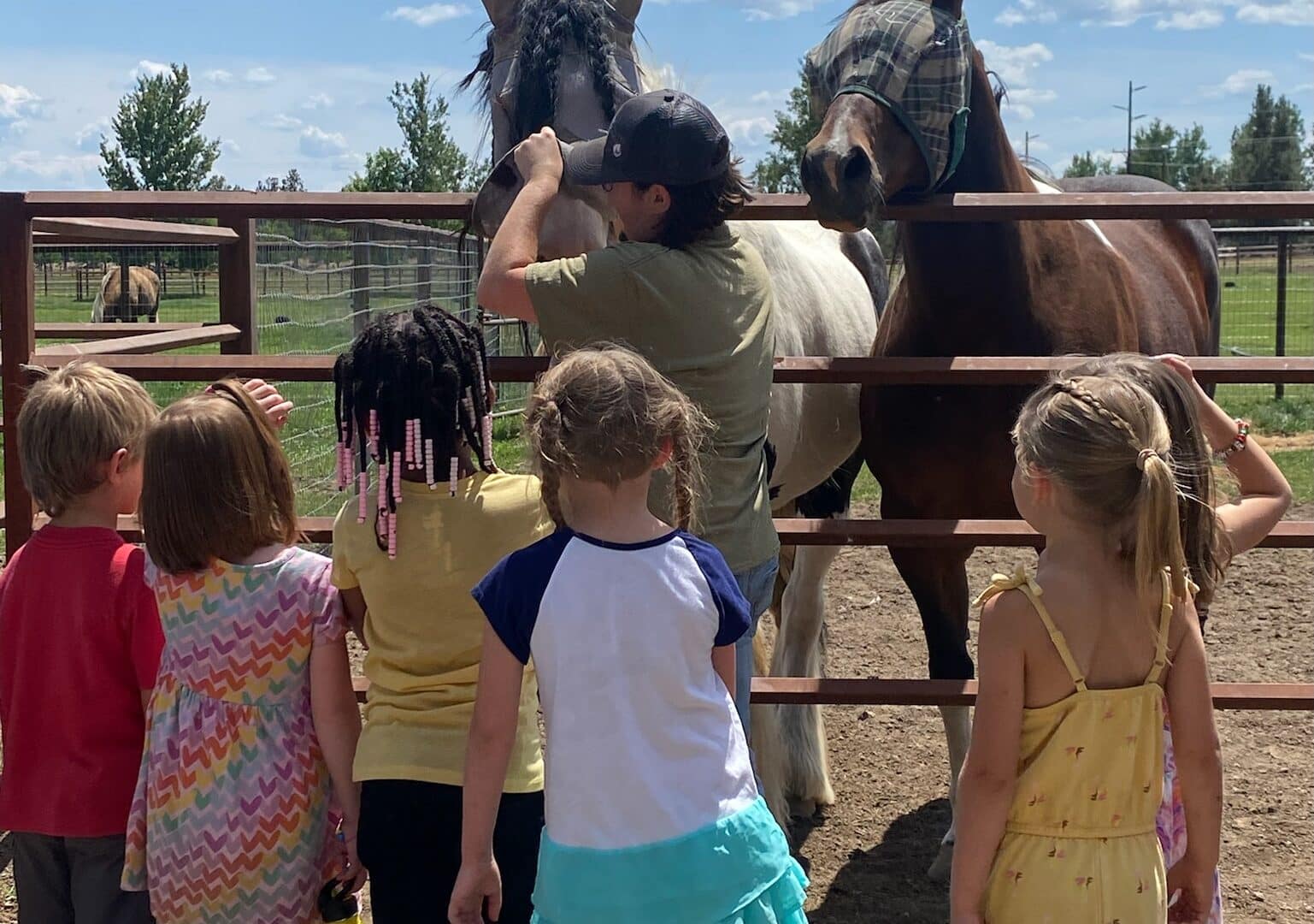 A group of kids feeding horses in a pen