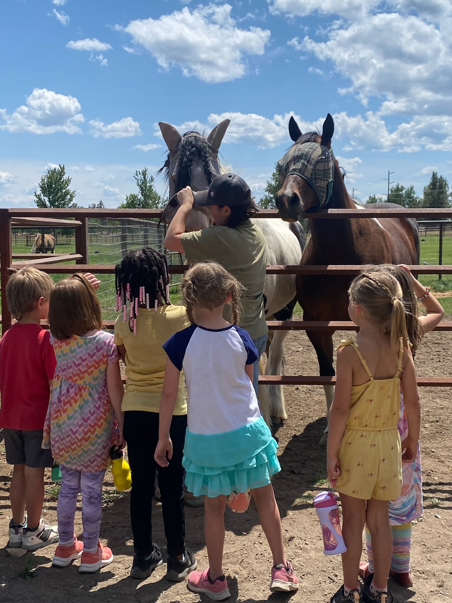 A group of kids feeding horses in a pen